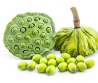 Gương sen tươi 1kg