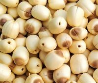 Hạt sen tươi 1kg