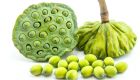Hạt sen tươi vỏ xanh 1kg