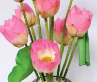 Hoa Sen Sấy Khô (để được lâu). Giá/1 hoa