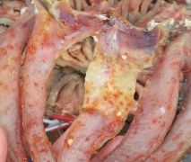Khô cá lóc (cá chuối) 1kg.