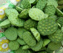 Gương sen tươi 1kg