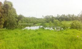 Khu Du lịch sinh thái Gáo Giồng – nơi thiên nhiên còn đậm nét hoang sơ