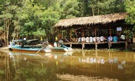 Du lịch Tràm Chim: Khai trương dịch vụ ăn uống trong rừng