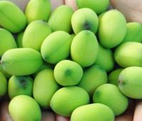 Hạt sen tươi vỏ xanh 1kg