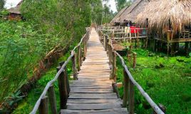 Khu du lịch Gáo Giồng