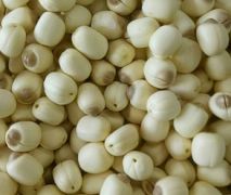 Sen lụa tươi 1kg (LT)