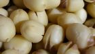 Sen lụa tươi HẤP (béo,bùi,thơm ngon) 1kg