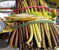 Cọng sen khô 1kg