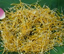 Liên tu khô (tua sen, râu sen)100gr