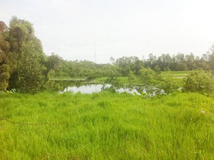 Khu Du lịch sinh thái Gáo Giồng – nơi thiên nhiên còn đậm nét hoang sơ