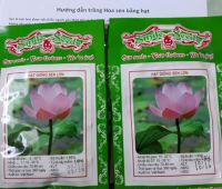 Hạt sen giống Việt (10 hạt)