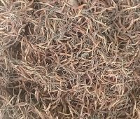 Liên tu khô (tua sen, râu sen)100gr