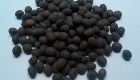 Sen khô nguyên hạt 500g(HD)