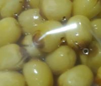Sen lụa tươi HẤP (béo,bùi,thơm ngon) 1kg