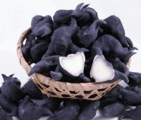 Củ ấu tươi miền Tây (AD)